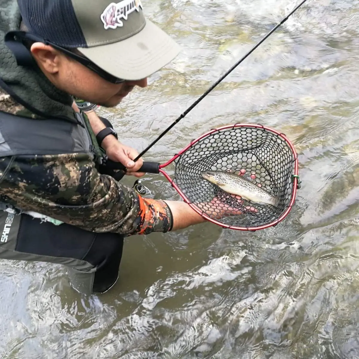 Recupero di una trota nel guadino in un torrente