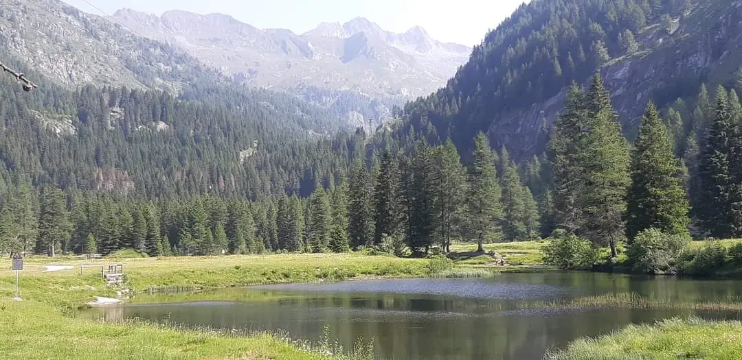 Laghetto d'alta quota fra le praterie del Parco dell'Adamello