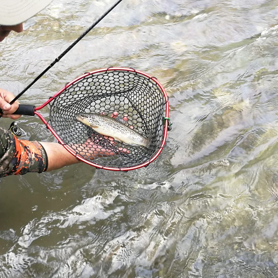 Michele Marmentini guadina una trota fario in un torrente della Valle Camonica