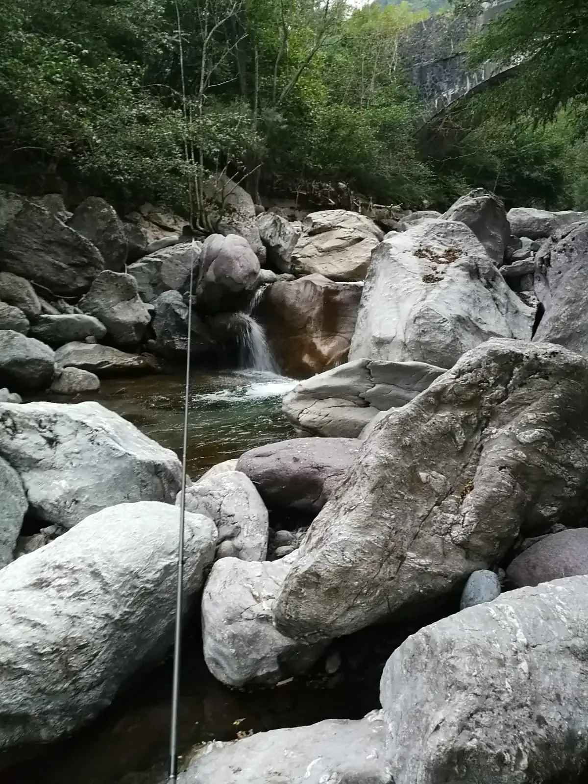 Torrente stretto e infrascato, terreno dello spinfly
